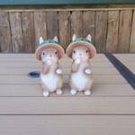 おとぎの森cafe - 