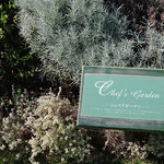 トロティネ - 使われるハーブは目の前の畑で作られています