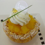 エコール・クリオロ - ピュイ・デテ(春季品)