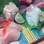 御料理 めなみ - 