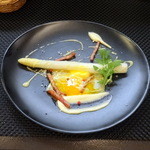 サンフォコン - ホワイトアスパラ