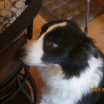 Mar - 友人にお熱です・・・