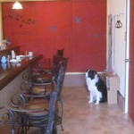 Mar - また来るね！