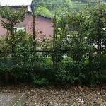 土の駅今庄 - 窓の外の景色