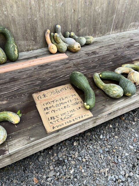 イガピザ - 新堂/ピザ | 食べログ