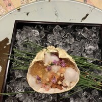 横浜 星のなる木 - 