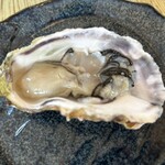Lemon & Oyster Garden SANGO
