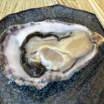 Lemon & Oyster Garden SANGO