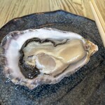 Lemon & Oyster Garden SANGO