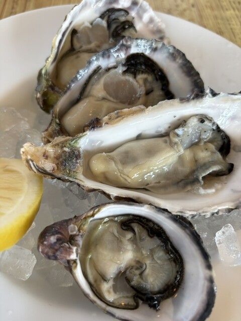 Lemon &amp; Oyster Garden SANGO