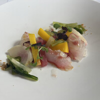 RESTAURANT DAZZLE - 