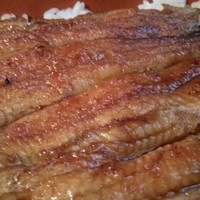 五代目 野田岩 麻布飯倉本店 - 