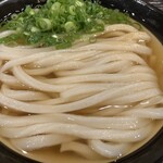 うどん 丸香 - かけ500円