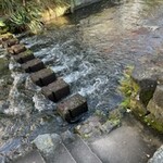 うなぎ いけだ - やっぱり水がキレイ