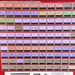 蒙古タンメン中本 - 券売機