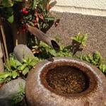 和菓子処 四代目 松川 - 2014.5