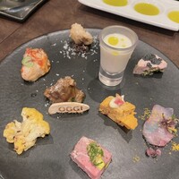 オッジ ダルマット 西麻布店 - 