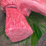 USHIGORO S. NISHIAZABU - 