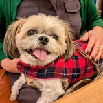 軽井沢ベランダ - 