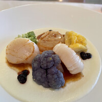 Benoit Alain Ducasse - 