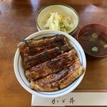 うなぎ処かゞ井 - うな丼
