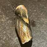 寿し たけうち - 