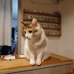 books to curry 猫のしっぽ - 