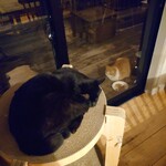 books to curry 猫のしっぽ - 