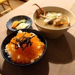 books to curry 猫のしっぽ - 