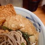 加賀 - サクサク〜ふわふわに化ける、"玉"状ではない"揚げ玉"。