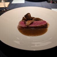 セルサルサーレ - 