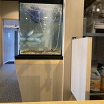 十魚十色 - 水槽にはアジや車海老や穴子がいました