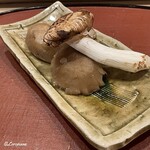 御料理 寺沢 - 松茸と楢茸