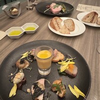 ダルマット 六本木ヒルズ店 - 