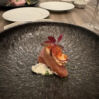 ダルマット 六本木ヒルズ店 - 