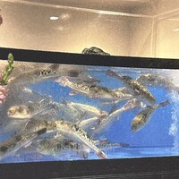 フグ料理　徳福 - 