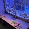 上野 アクアリウムレストラン Nautilus