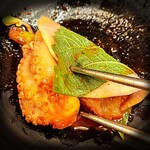 ホンスチュクミ - 