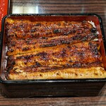 うなぎ 魚政 - うな重、ブランド鰻 特上