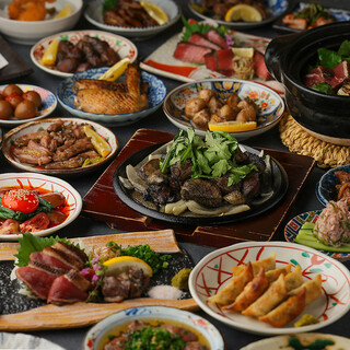 Charcoal-Grilled Chicken and Bite-Sized Gyoza