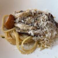 サーラ アマービレ - 