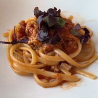 サーラ アマービレ - 