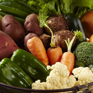 徳島の大地で育った無農薬野菜