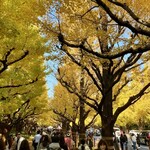 とんかつ七井戸 - 神宮外苑