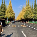 とんかつ七井戸 - 神宮外苑