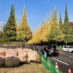 とんかつ七井戸 - 神宮外苑