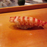 小判寿司 - 車エビ