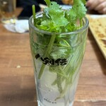 八剣伝 - パクチーサワー