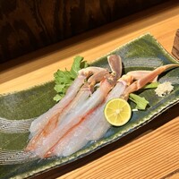 鯖とか烏賊とか真とか - 
