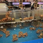 函館海鮮料理 海寿 - 